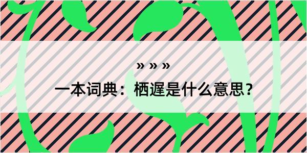 一本词典：栖遅是什么意思？