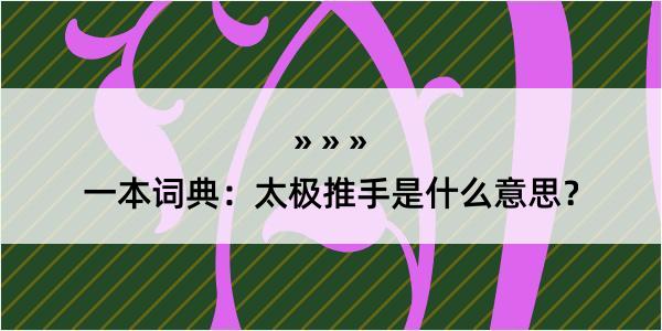 一本词典：太极推手是什么意思？