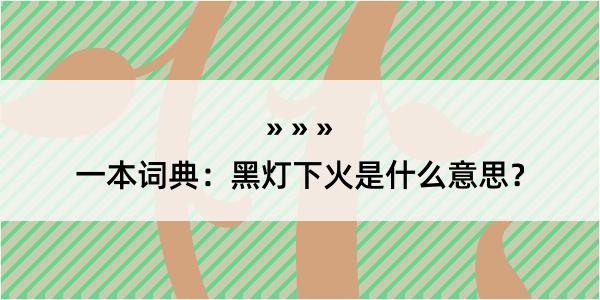 一本词典：黑灯下火是什么意思？