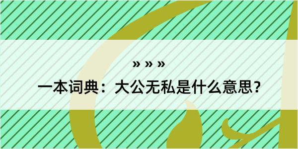 一本词典：大公无私是什么意思？