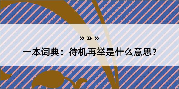 一本词典：待机再举是什么意思？