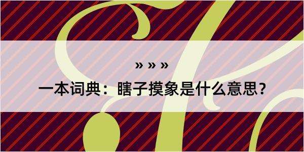 一本词典：瞎子摸象是什么意思？