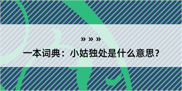 一本词典：小姑独处是什么意思？