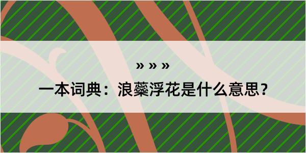 一本词典：浪蘂浮花是什么意思？