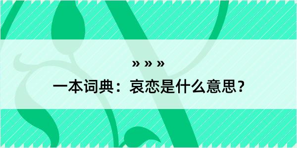 一本词典：哀恋是什么意思？