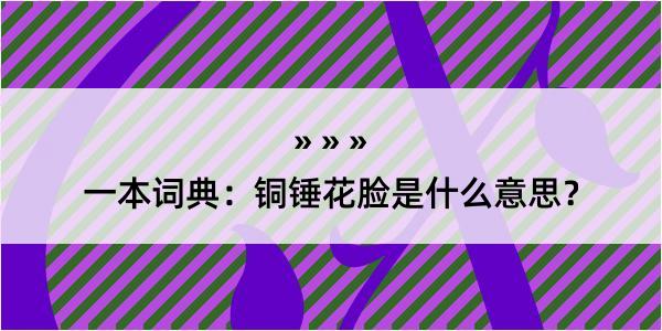 一本词典：铜锤花脸是什么意思？