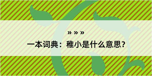 一本词典：稚小是什么意思？