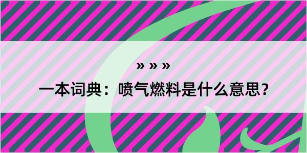 一本词典：喷气燃料是什么意思？