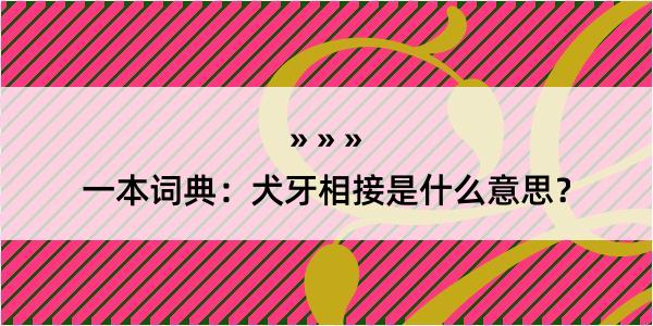 一本词典：犬牙相接是什么意思？