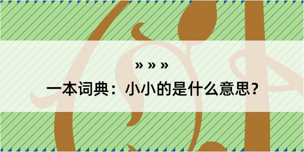 一本词典：小小的是什么意思？