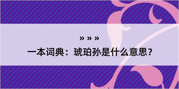 一本词典：琥珀孙是什么意思？