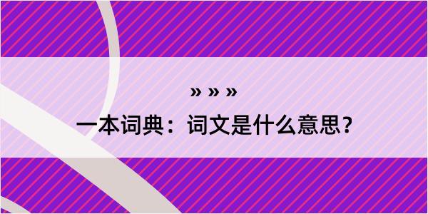 一本词典：词文是什么意思？