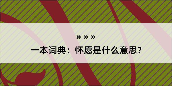 一本词典：怀愿是什么意思？