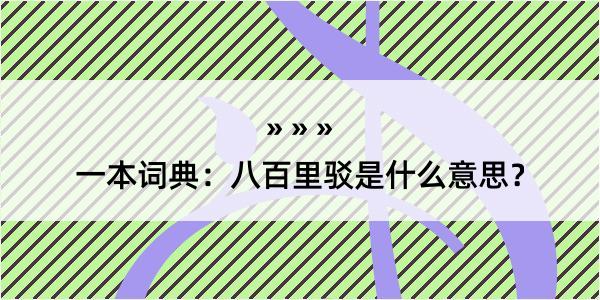 一本词典：八百里驳是什么意思？