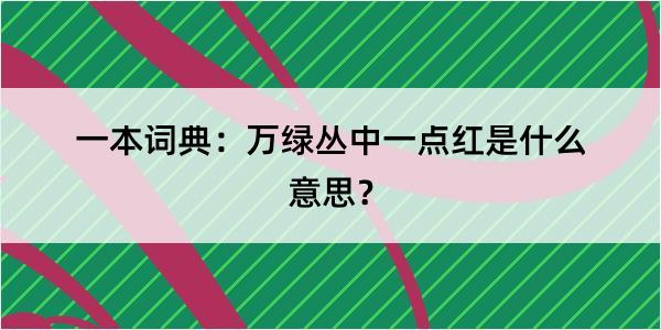 一本词典：万绿丛中一点红是什么意思？