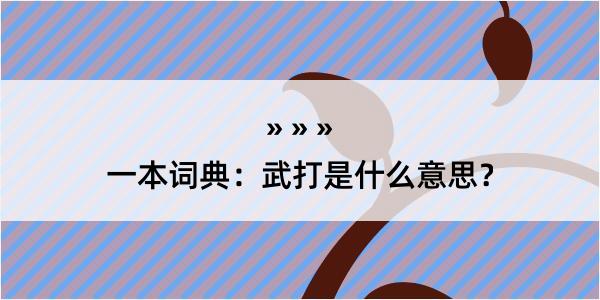 一本词典：武打是什么意思？