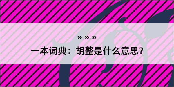 一本词典：胡整是什么意思？