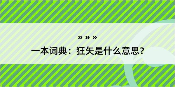 一本词典：狂矢是什么意思？