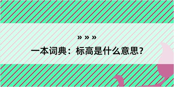 一本词典：标高是什么意思？