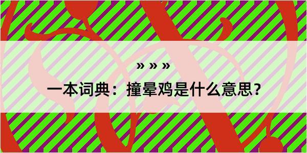 一本词典：撞晕鸡是什么意思？