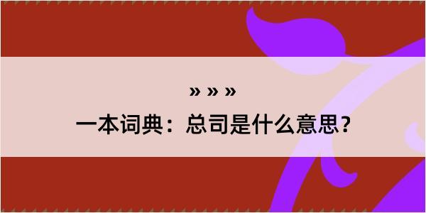 一本词典：总司是什么意思？