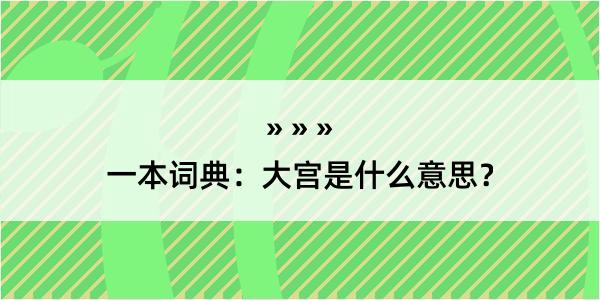 一本词典：大宫是什么意思？