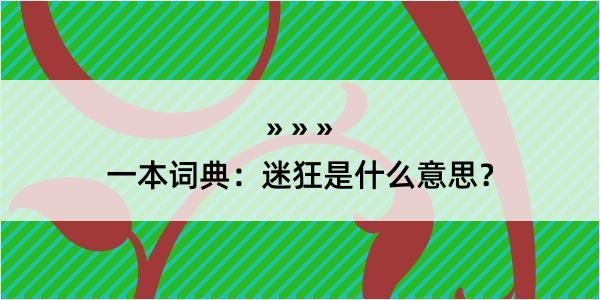 一本词典：迷狂是什么意思？