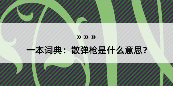 一本词典：散弹枪是什么意思？