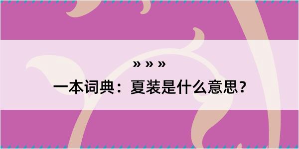 一本词典：夏装是什么意思？