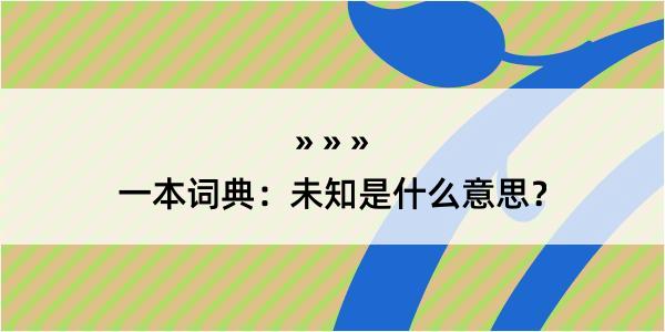 一本词典：未知是什么意思？