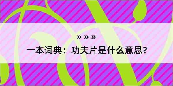 一本词典：功夫片是什么意思？