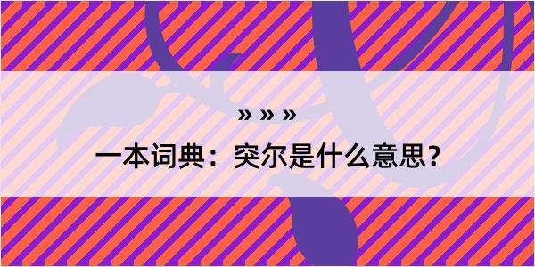 一本词典：突尔是什么意思？