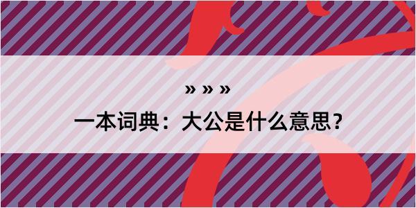 一本词典：大公是什么意思？