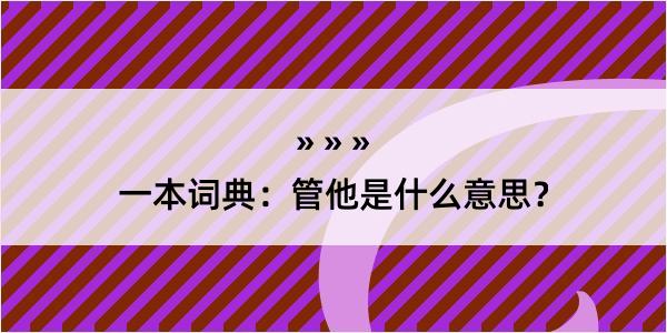 一本词典：管他是什么意思？