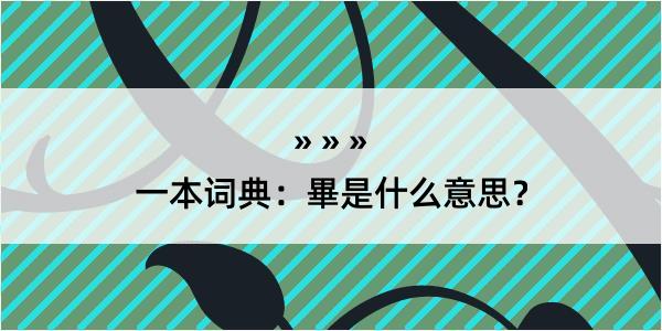 一本词典：畢是什么意思？