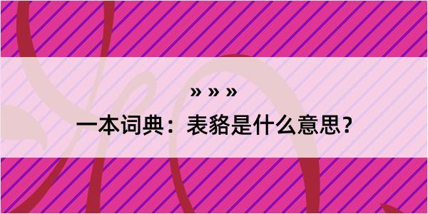 一本词典：表貉是什么意思？