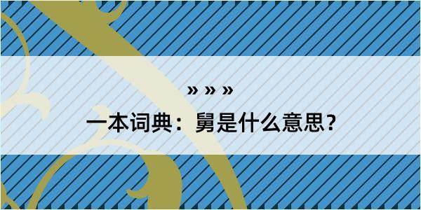 一本词典：舅是什么意思？