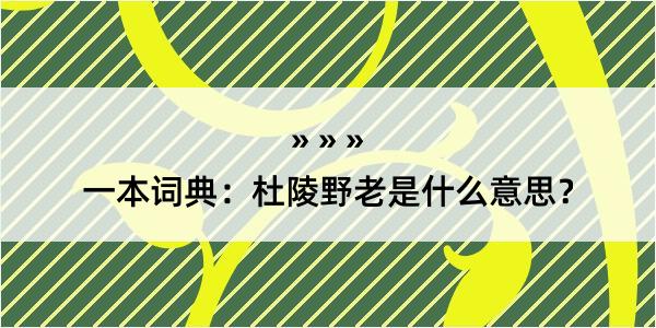 一本词典：杜陵野老是什么意思？