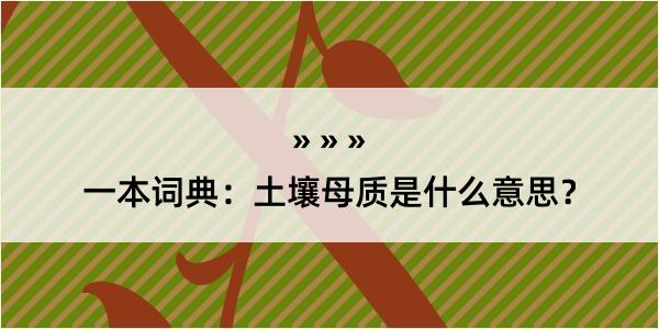 一本词典：土壤母质是什么意思？