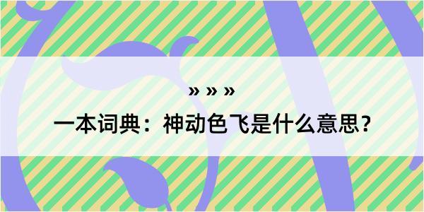 一本词典：神动色飞是什么意思？