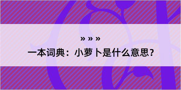 一本词典：小萝卜是什么意思？