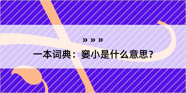 一本词典：窭小是什么意思？