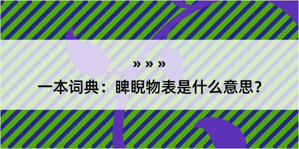 一本词典：睥睨物表是什么意思？