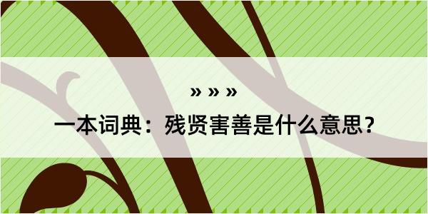 一本词典：残贤害善是什么意思？