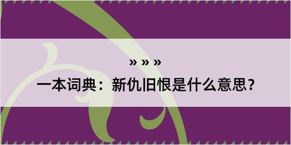 一本词典：新仇旧恨是什么意思？