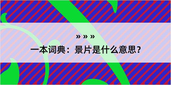 一本词典：景片是什么意思？