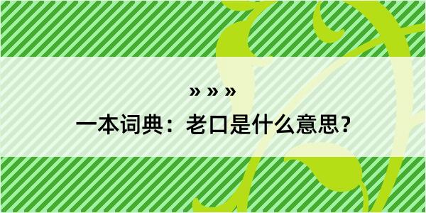 一本词典：老口是什么意思？