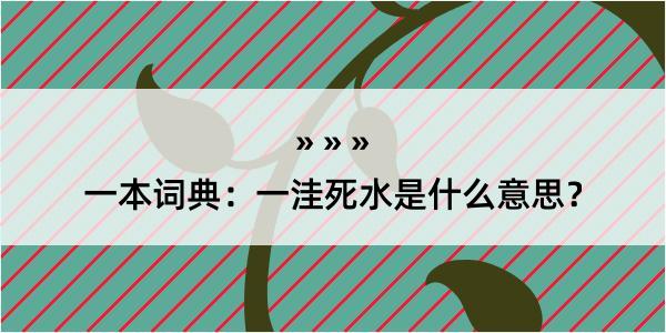 一本词典：一洼死水是什么意思？