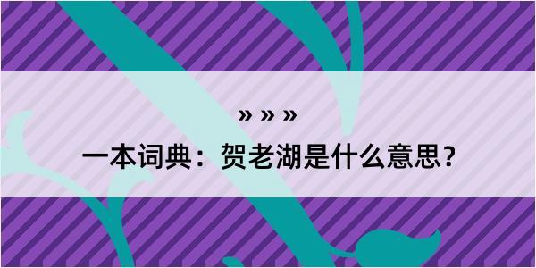 一本词典：贺老湖是什么意思？