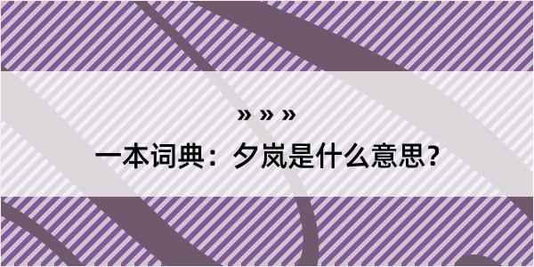 一本词典：夕岚是什么意思？